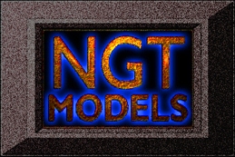 NGT Models