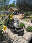 Picture Title - Sunflowers and Steam