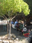 Picture Title - Comming off the Torrance Creek Trestle