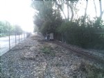 Picture Title - Phil in the new bush tunnel