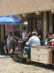 Picture Title - Tim and his Jille Belle pulling into Wilson Park Station