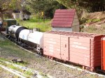 Picture Title - Main Line freight on detour through Wilson Park