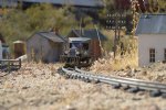Picture Title - G Scale Goose