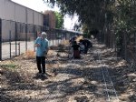 Picture Title - Crenshaw track maintenance 