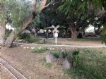 Picture Title - Street view of picnic area 