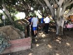 Picture Title - Eagle Scout project 