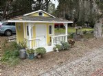 Picture Title - New potted plants for the. Yellow house 