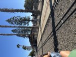 Picture Title - Public train ride at OCME 