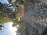Picture Title - Crenshaw line track maintenance